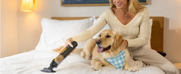 PocketClean Car Vacuum